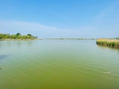 -野鸭湖国家湿地公园