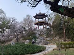 -莲花池公园