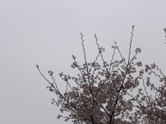 -径山寺