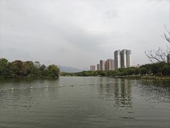 -飞来湖湿地公园