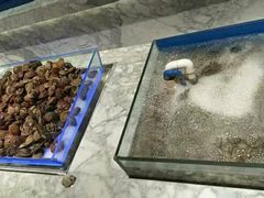 -火锅岛潮牌自助餐厅(天津天佑城店)