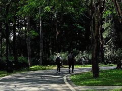 -海珠湖公园