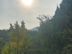 -北京鹫峰国家森林公园