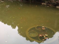 景点-汇龙潭