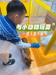 -神奇动物撸宠馆·羊驼·小浣熊·异宠(豫园店)