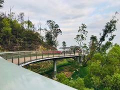 -板樟山森林公园