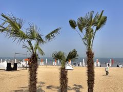 -巧克力渔家.小船海鲜家常菜(万平口店)