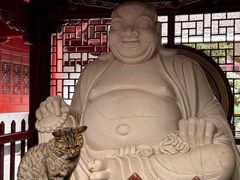 -普陀山风景区-佛顶山