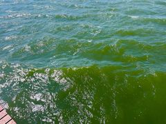 -天津东疆湾沙滩景区