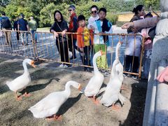 -重元寺香积厨素斋馆