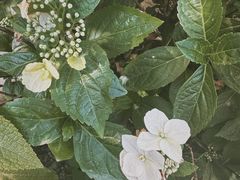 -三仟津花园咖啡馆