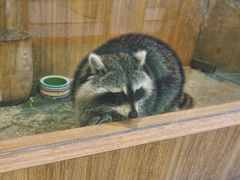 -藦茜花园宠物主题亲子互动体验馆(国顺东路店)