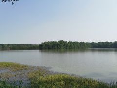 -大湾区中央湿地公园