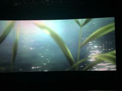 -神画光影影城(温岭万寿路店)