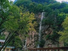 -青峰峡国家森林公园