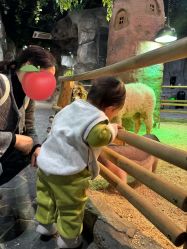 -Zoolung Zoolung动物主题公园(海信广场店)