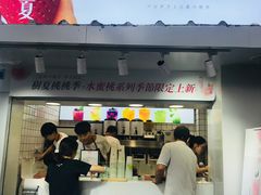 -树夏(建设路店)