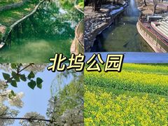 -北坞公园