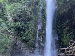 -莫里热带雨林景区