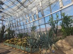 -北京植物园-展览温室