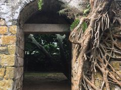 -东澳岛