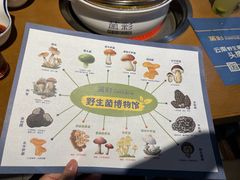 -菌彩云南野生菌火锅(万达广场店)