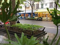 -81BAKERY(大学路店)