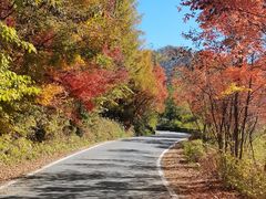 -三块石国家森林公园
