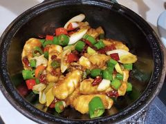 -港升鱼师傅·中山脆肉鲩