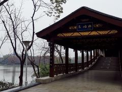-长广溪湿地公园