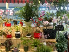 -花里花店(唐镇阳光天地店)