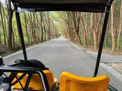 -同里国家湿地公园
