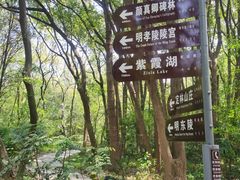 -紫霞湖公园