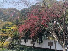 -浙江省博物馆(孤山馆区)
