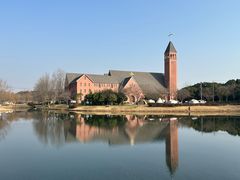 -贡湖湾湿地公园