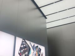 -Apple 零售店(Canton Road)