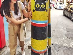 -猫咪博物馆(顶澳仔猫街店)