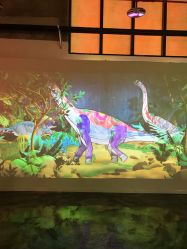 -恐龙探索乐园(磁器口店)