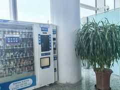 -石家庄正定国际机场-T2航站楼