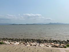 -深圳湾公园(南山区)