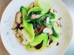 -天鹅到家·保姆月嫂育儿嫂(总店)