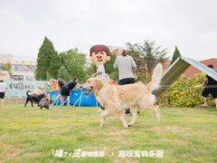 -趣玩宠物乐园寄养训犬训狗游泳池