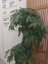 -和颜一美轻医美连锁