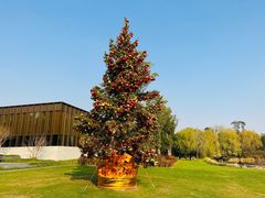 -养云安缦吧THE BAR