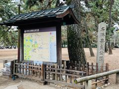 -奈良公园
