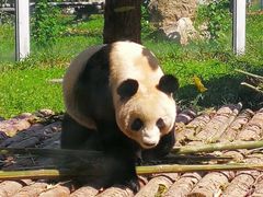 -西安秦岭野生动物园