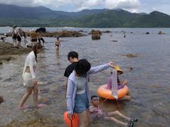 -西涌国际滨海旅游区