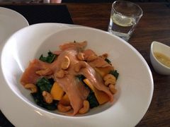 好乐百沙拉-百好乐宠物友好餐厅(朝外大街店)