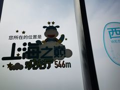 -上海中心大厦
