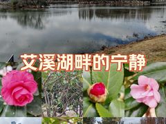 -艾溪湖湿地公园